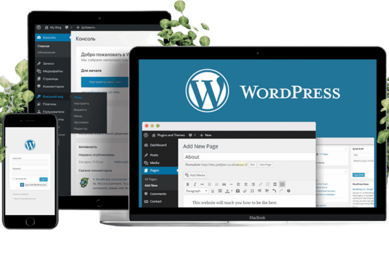 Wordpress хостинг Wordpress хостинг